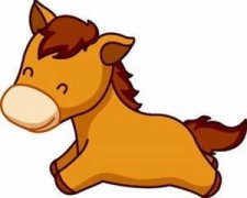 ���������Ը���ô�� ����ֺ��������Ŵ����