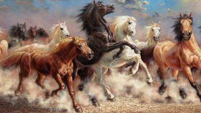 �칫�ҹһ���ˮ �칫�ҹһ�����