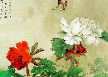 ���ع����ʺϹ�ʲô��