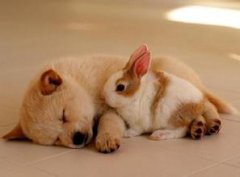 O��Ѫ�����ʺ����ĳ��� �ʺ�������˳���