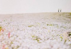 ��ͬѪ���˵Ľ���׼�� ��Ѫ�ͽ���׼��