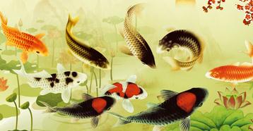 �칫�ҹһ���ˮ �칫�ҹһ�����