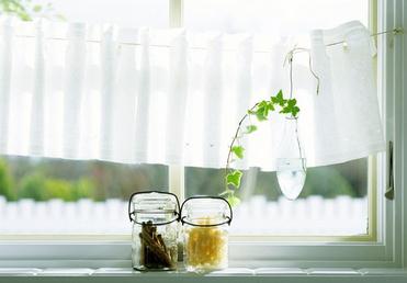 ���ڰڷ�ʲôֲ���