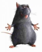 A��Ѫ��������Ը� A��Ѫ�����������