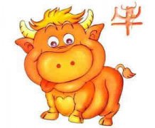 ��ţ�����Ը���ô�� ����ֺ���ţ���Ŵ����