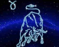 ��ţ���������� 4��27��5��3��������