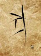 AB��Ѫ�������Ը����