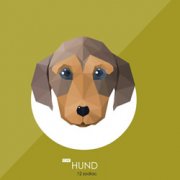 �����ĺ�ʲô�������� �����ĺ�ʲô��Ф����