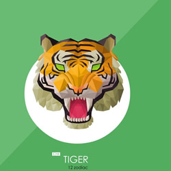 B型血属虎人性格分析