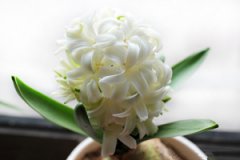 2015��ˮƿ�������˻� ˮƿ��2015�����˻�