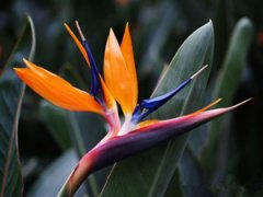 2015����Ы�������˻� ��Ы��2015�����˻�