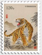 2015���������������� ��������������