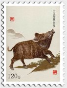 2015���������������� ��������������