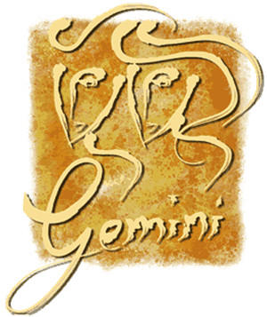 ˫����������ʲô������