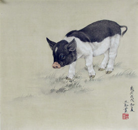 属猪的人2015年2月运势 属猪2015年运势