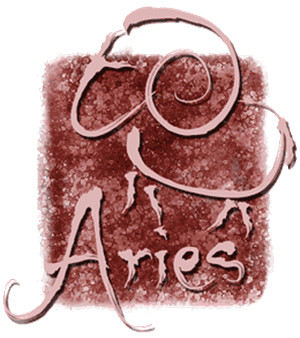 ������������ʲô������