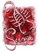 ��Ы��������ʲô������