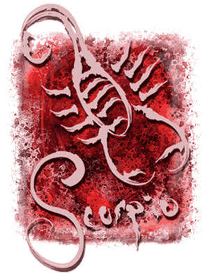 天蝎座男生和什么座最配