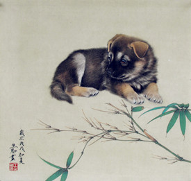 属狗的人2015年2月运势 属狗2015年运势