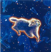 ������2015��1������ 2015����������