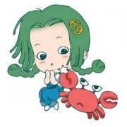 2015���з������� ��з��2015�갮��