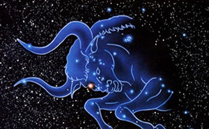 ��ţ��2015��1������ ��ţ��2015����