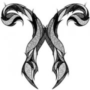 ������Բ��԰��� ��Ы���İ�ֻ���������ԭ��