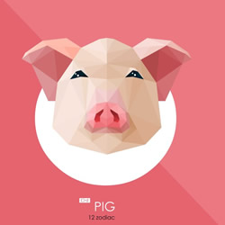 B型血属猪人性格分析