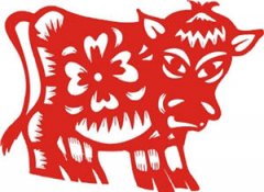 O��Ѫ��ţ�˵��Ը����