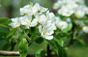 2015�괦Ů�������˻� ��Ů��2015�����˻�