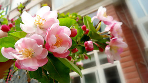 2015�괦Ů�������˻� ��Ů��2015�����˻�