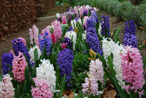 2015��ˮƿ�������˻� ˮƿ��2015�����˻�