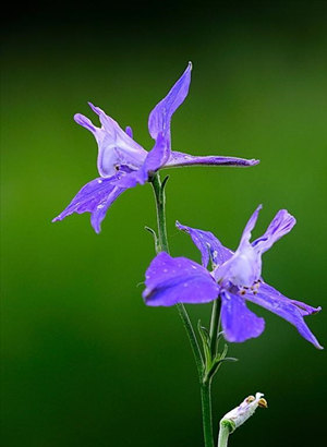 2015���з�������˻� ��з��2015�����˻�