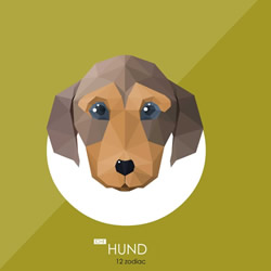 属狗的和什么属相最配 属狗的和什么生肖最配