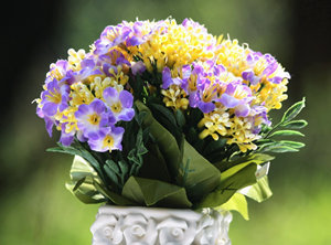 2015年射手座的幸运花 射手座2015年幸运花