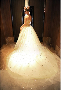 ʨ����Ψ����ɴͼ1