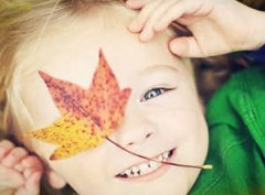 ʮ������֮���������