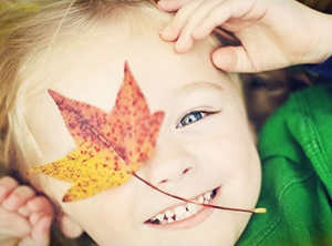 ʮ������֮��