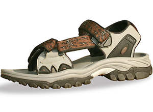 ʮ������Ь