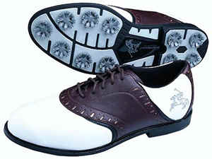 ʮ������Ь