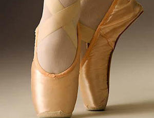 ʮ������Ь