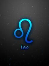 2014星座运势大解析之
狮子座运势