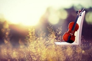 十二星座内心对爱情的自述