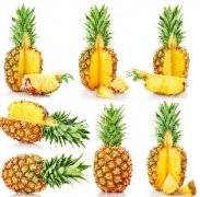 ���ܵ���ѡС����  ���ѡ���óԵĲ��� 