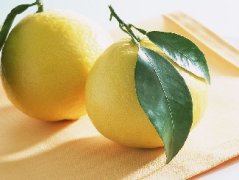 ���ӵ���ѡС����  Ӧ�����ѡ���óԵ����� 