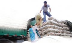 ��ĭ��������Ʒ_���˶Թ�ĭ�������� 