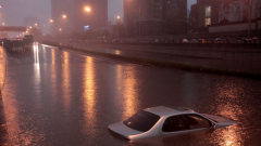 ���ų���������������ʷ���� 