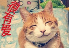 �������̹ɡ��С��̹ɡ���С���½��� 