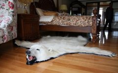 ����������˼�����鴫�Ĺ��� 