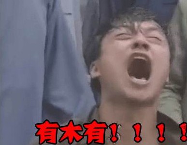 网络热词有木有